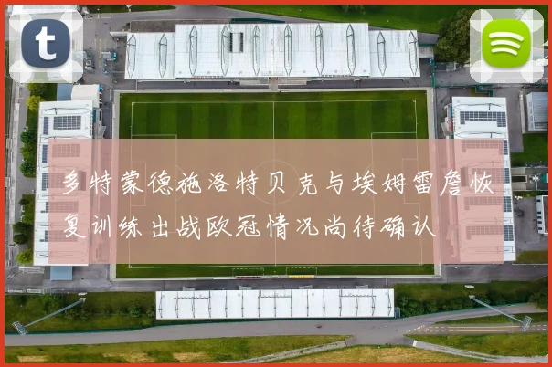 多特蒙德施洛特贝克与埃姆雷詹恢复训练出战欧冠情况尚待确认