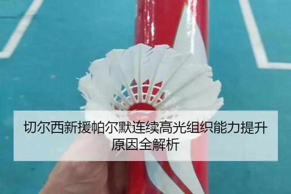 切尔西新援帕尔默连续高光组织能力提升原因全解析